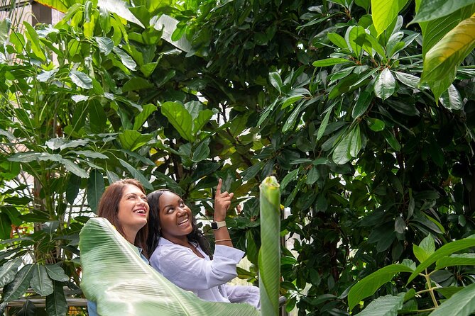 Bombay Sapphire Gin Distillery Tour and Cocktail - The Botanical Room puts flavour before jargon
