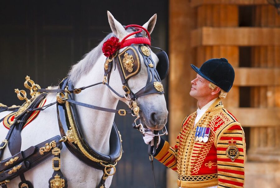 Buckingham Palace: The Royal Mews Entrance Ticket - What the Royal Mews visit actually covers