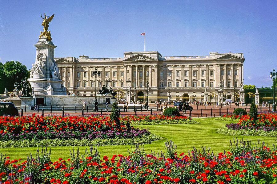 Buckingham Palace: The State Rooms Entrance Ticket - The multimedia guide and the self-guided route