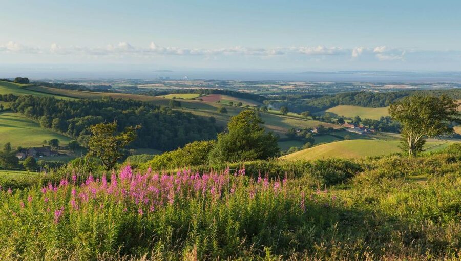 From London: Canterbury & White Cliffs of Dover Tour - Key points at a glance