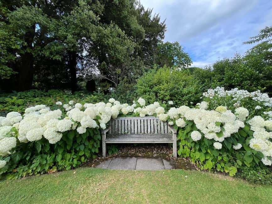 From London: Day Trip to Downton Abbey, Oxford and Bampton - Highclere Castle, the main event