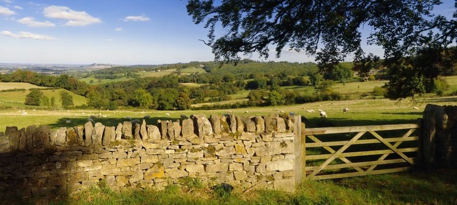 From London: Full-Day Cotswolds Small-Group Tour - What the minibus ride is really like