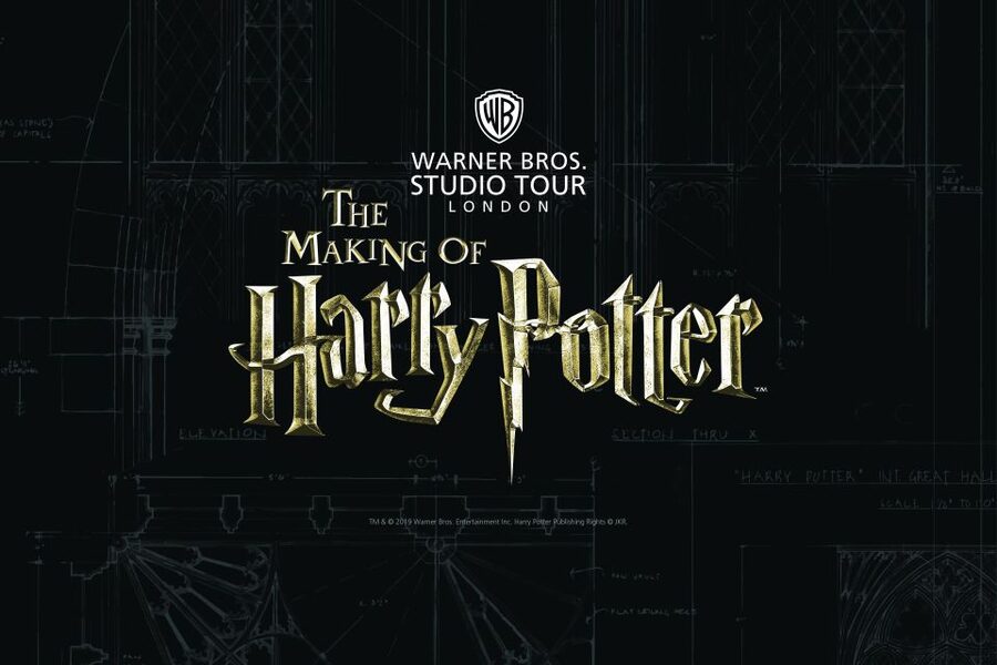 From London: Harry Potter Family Package with Transfers - From Victoria to the Warner Bros. Studios