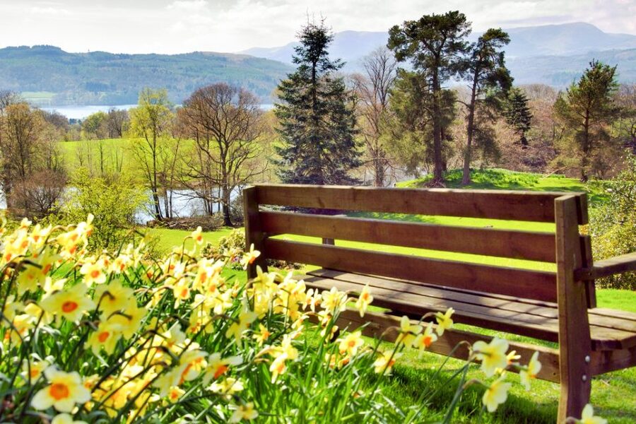From London: Lake District Tour with Cream Tea & Cruise - Guides can make a long day feel easy