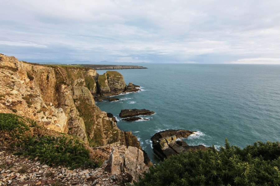From London: North Wales, Snowdonia & Caernarfon Castle Tour - Caernarfon Castle and 90 Minutes of Welsh History