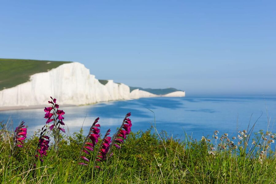 From London: Seven Sisters and Brighton Full-Day Tour - Seaford Head, the Better Panorama