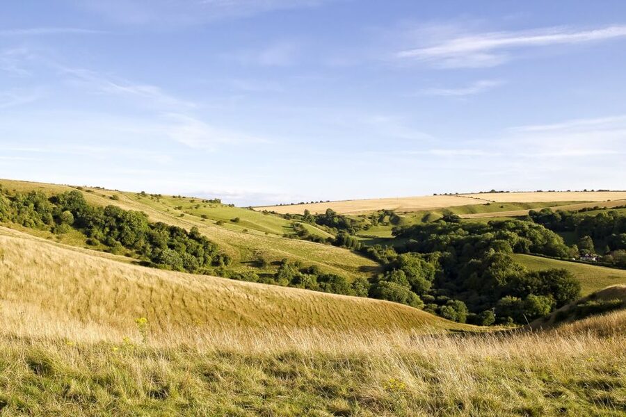 From London: Stonehenge and Bath Day Trip with Ticket - The return to London