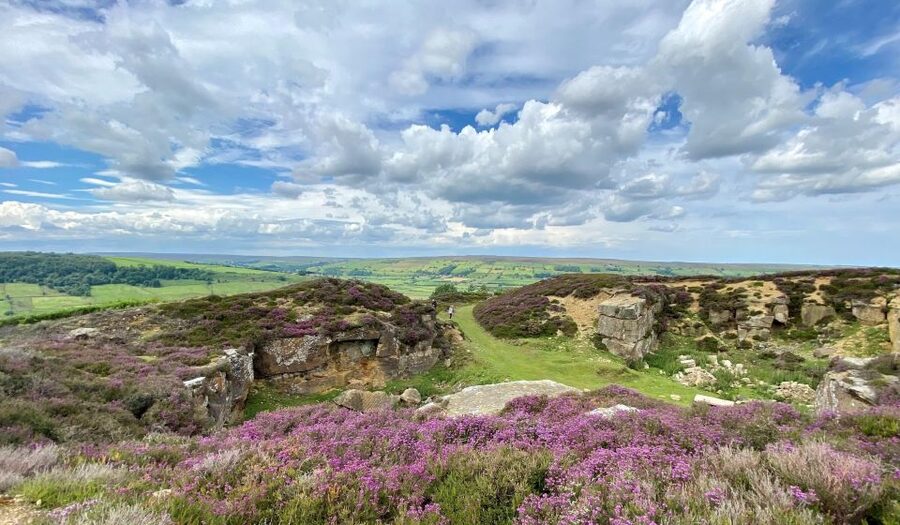 From London: The North York Moors with Steam Train to Whitby - Who should book this day?