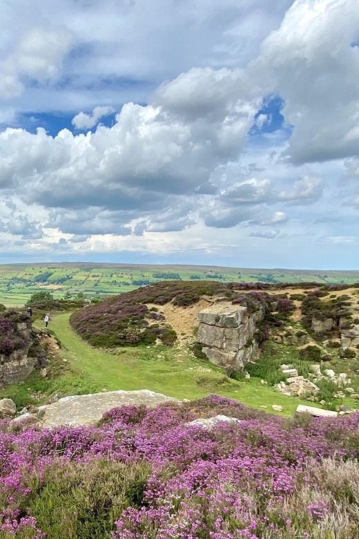From London: The North York Moors with Steam Train to Whitby - Goathland, Heartbeat Country, and Hogsmeade Station