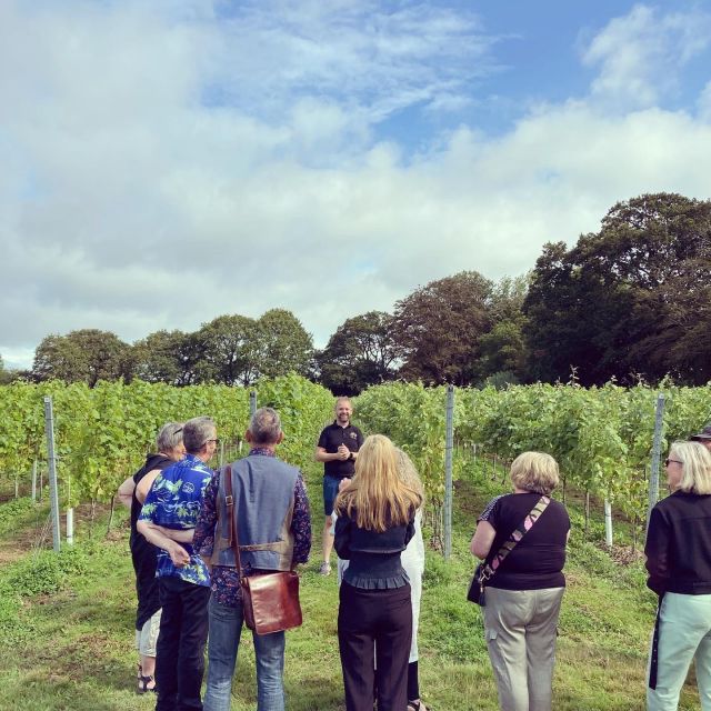 From London: Vintage Bus Wine Tour with Return Train Tickets - The second estate and a change of pace