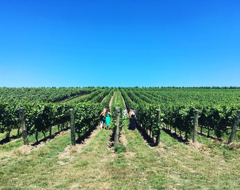 From London: Vintage Bus Wine Tour with Return Train Tickets - The journey home and the value of having a guide
