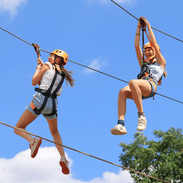 Gripped London: Zip Line, High Ropes & Freefall Adventure - Trading London streets for treetops