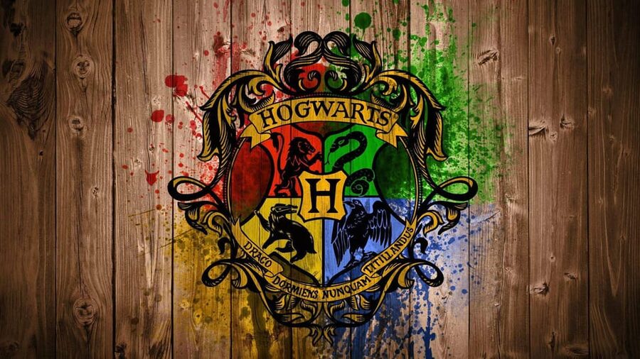 Harry Potter Private Tour of London in Spanish - The final stop at Platform 9¾ in King’s Cross