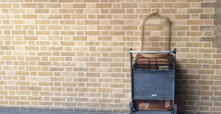 Harry Potter Private Tour of London in Spanish - Spanish guidance, quizzes, and guide quality