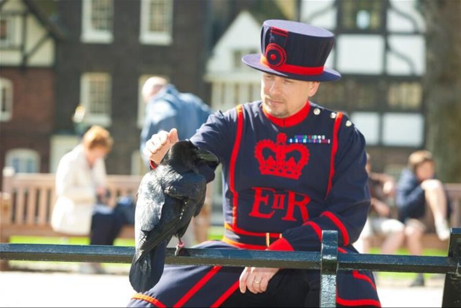 Hop on Hop off London Bus Tour & Tower of London - What this London pass actually gives you