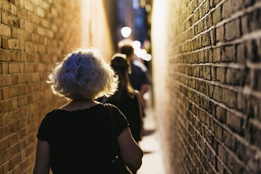 Italian Language : Original Harry Potter Walking Tour - What the $20 price really gives you