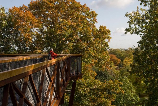 Kew Gardens Entrance Ticket - Why Kew Gardens is worth your London time