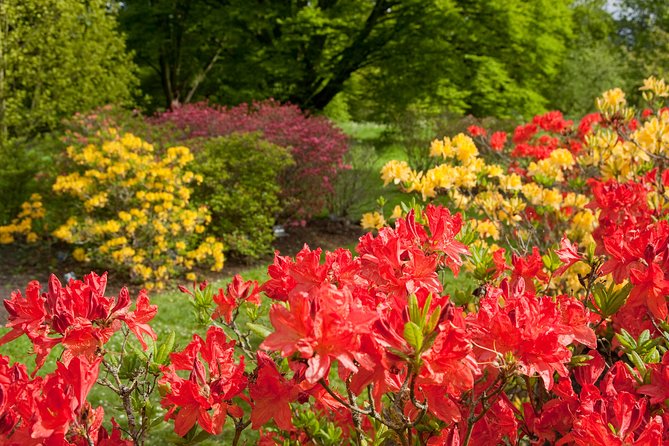 Kew Gardens Entrance Ticket - How long should you spend at Kew?