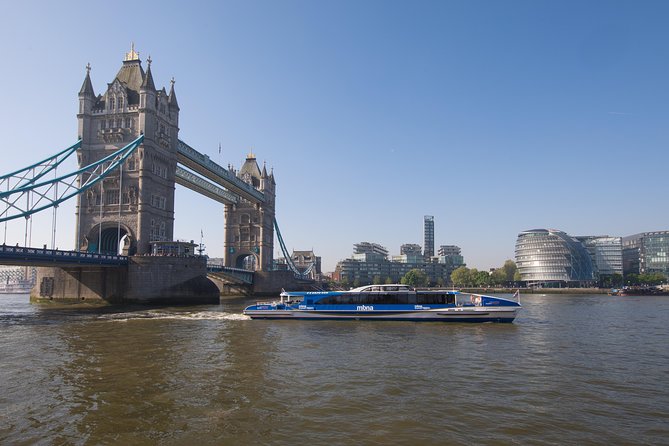 Leeds Castle, Canterbury, Dover & Greenwich Cruise from London - The White Cliffs of Dover in a short stop