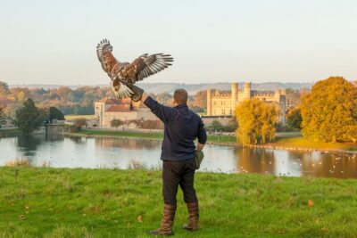 Leeds Castle, Canterbury, Dover & Greenwich Cruise from London