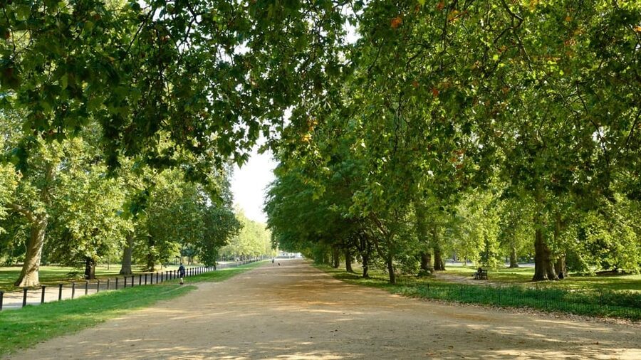London: 24-Hour Hop-On Hop-Off Bus Pass - The Landmarks Tour, from Westminster to the Tower