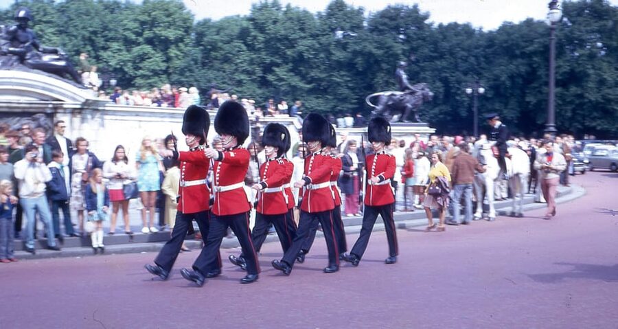 London: Buckingham Palace and Changing of the Guards Tour - Watching the Changing of the Guard