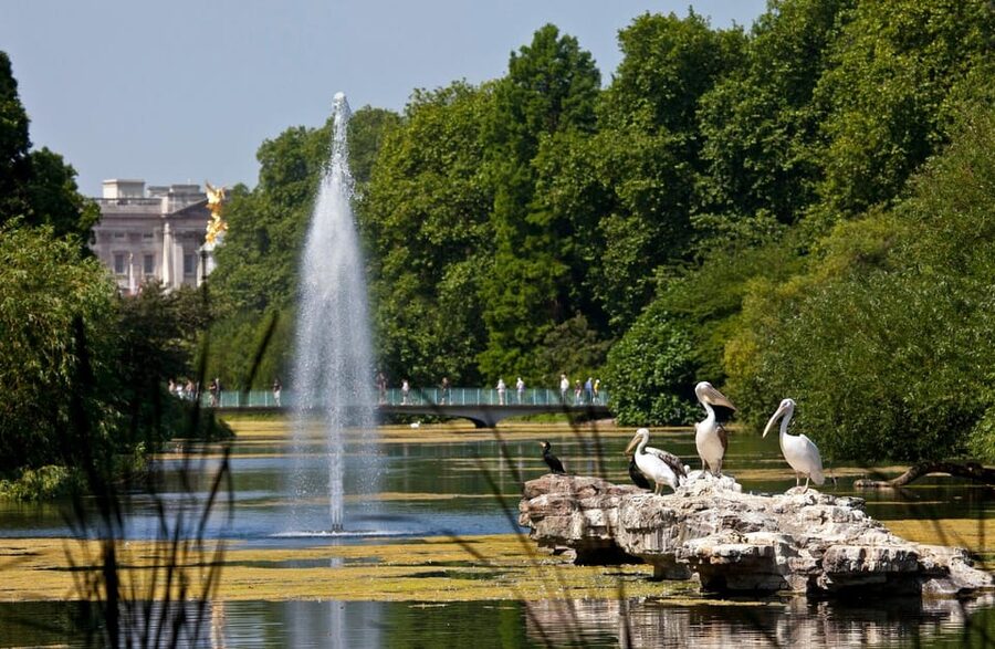 London: Buckingham Palace State Rooms & Royal Walking Tour - Is $93 a fair price?