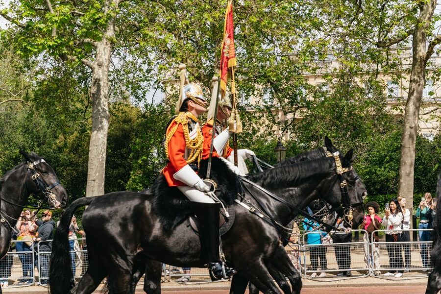 London: Changing of the Guard Tour by Buckingham Palace - The ceremony beyond the red tunics
