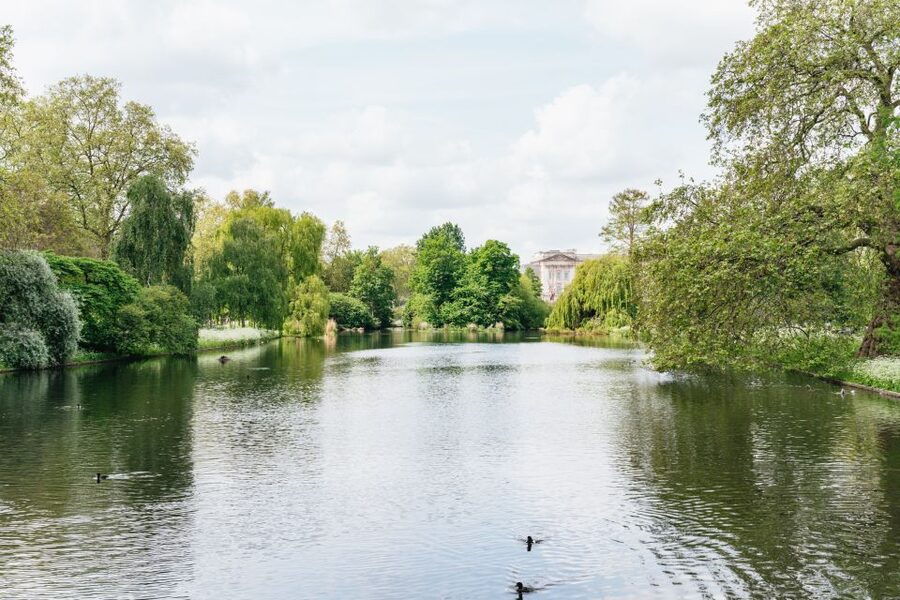 London: Changing of the Guard Tour by Buckingham Palace - Is $18 good value?