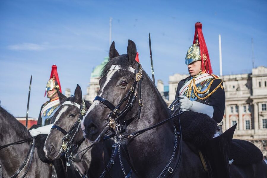 London: Changing of the Guard Walking Tour - Key points to know before booking