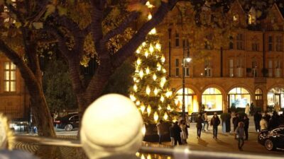 Christmas Lights Nighttime Bus Tour with Live Guide