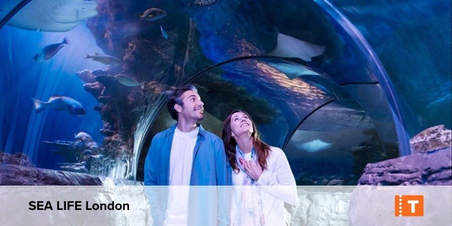 London City pass: Top attractions, Hop on Hop off & tours - Key points to know before you buy