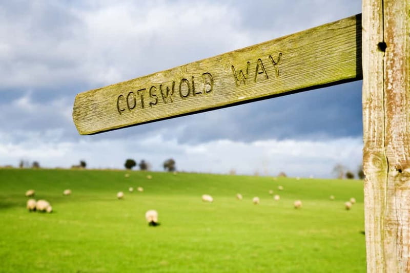 London: Cream Tea at Blenheim Palace & the Cotswolds Tour - Who should book this day trip?
