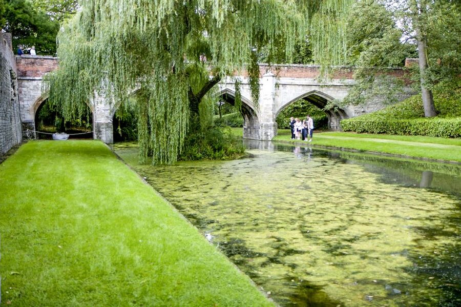 London: Entry Ticket to Eltham Palace and Gardens - Why Eltham Palace feels unlike other London house visits