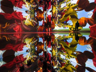 Entry Ticket to Frameless Immersive Art Experience