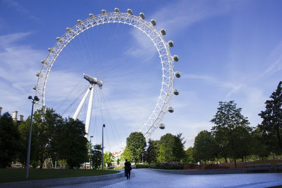 London Eye Private Capsule Experience for Couples or Groups - Who Should Book This London Eye Experience?