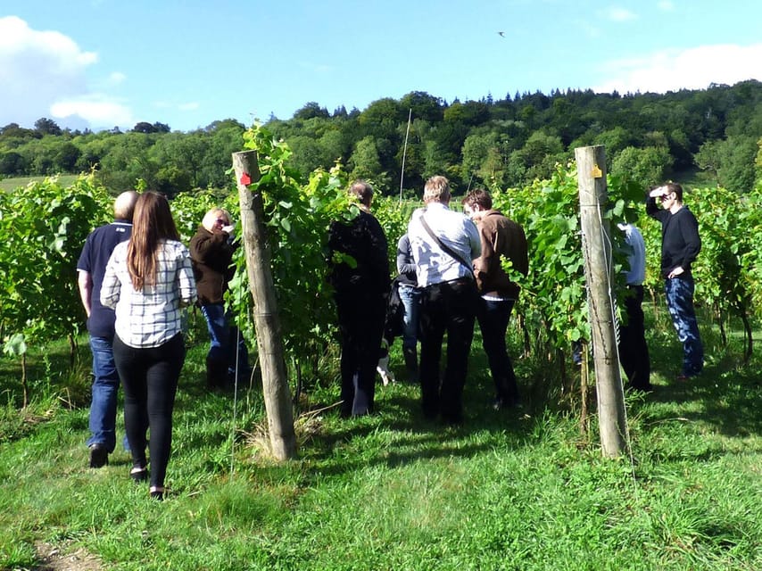London: Full-Day English Wine Tour with Lunch - Who will enjoy this tour most?