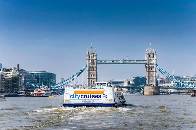 London: Fully Flexible River Thames Sightseeing Pass - Is the $18.79 price good value?