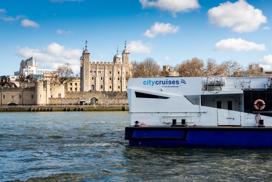 London: Harry Potter Walk, Hop-on Hop-off Bus Tour & Cruise - From Diagon Alley to Downing Street