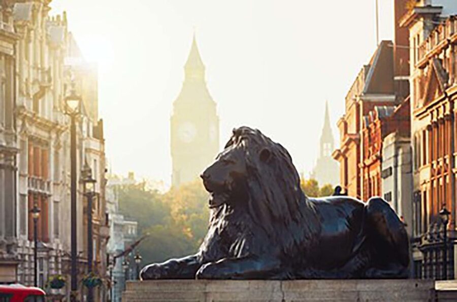 London Highlights Taxi Tour - Practical details before you reserve