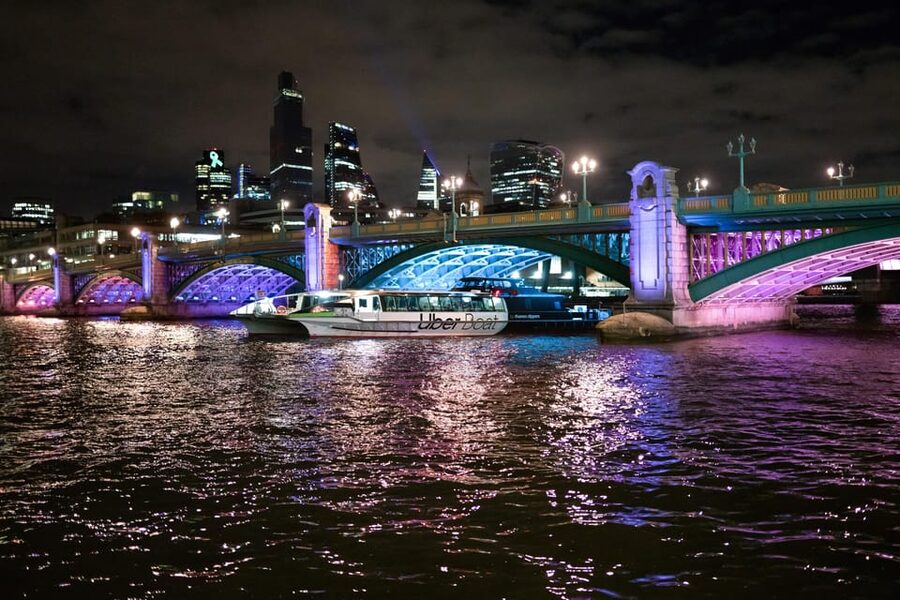 London: Hop-On Hop-Off 1-Day River Sightseeing Adventure - Who should book this Thames pass?