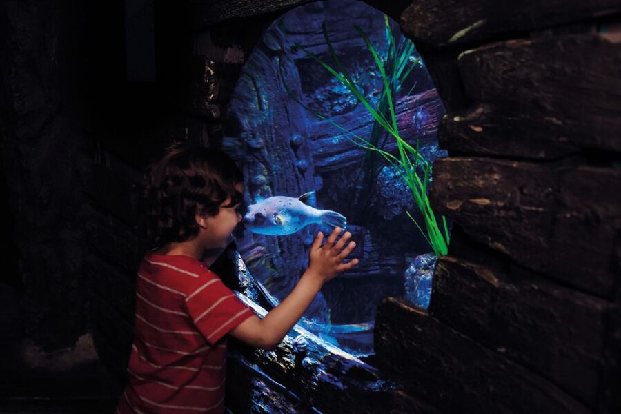 London: Madame Tussauds, London Eye & SEA LIFE Combo Ticket - Key points at a glance