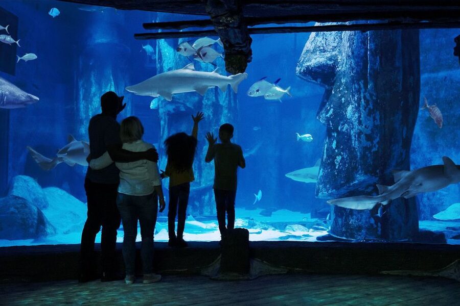 London: Madame Tussauds, London Eye & SEA LIFE Combo Ticket - Should you book the London three-attraction ticket?
