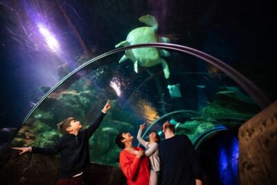 Madame Tussauds, London Eye & SEA LIFE Combo Ticket