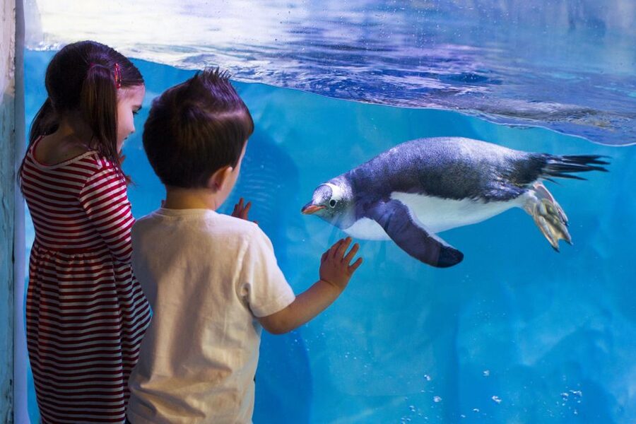 London: Madame Tussauds, SEA LIFE and London Dungeon Entry - Key points to know before you book