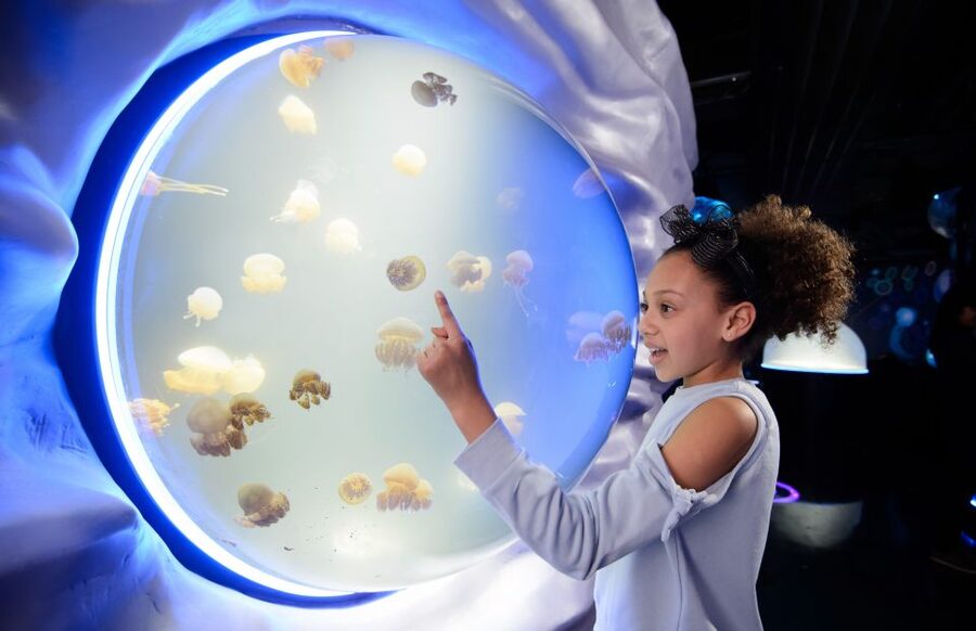 London: Madame Tussauds, SEA LIFE and London Dungeon Entry - Three London attractions, one flexible plan