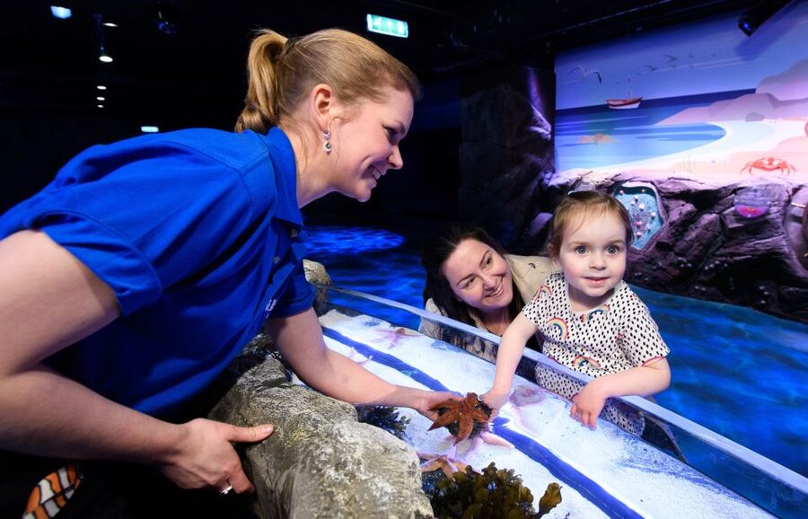 London: Madame Tussauds, SEA LIFE and London Dungeon Entry - The London Dungeon: theatrical scares and old London