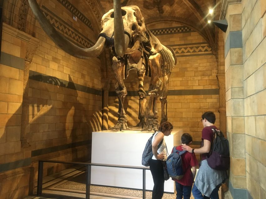 London: Natural History Museum Entry Ticket and Guided Tour - Why a one-hour tour helps inside this vast museum