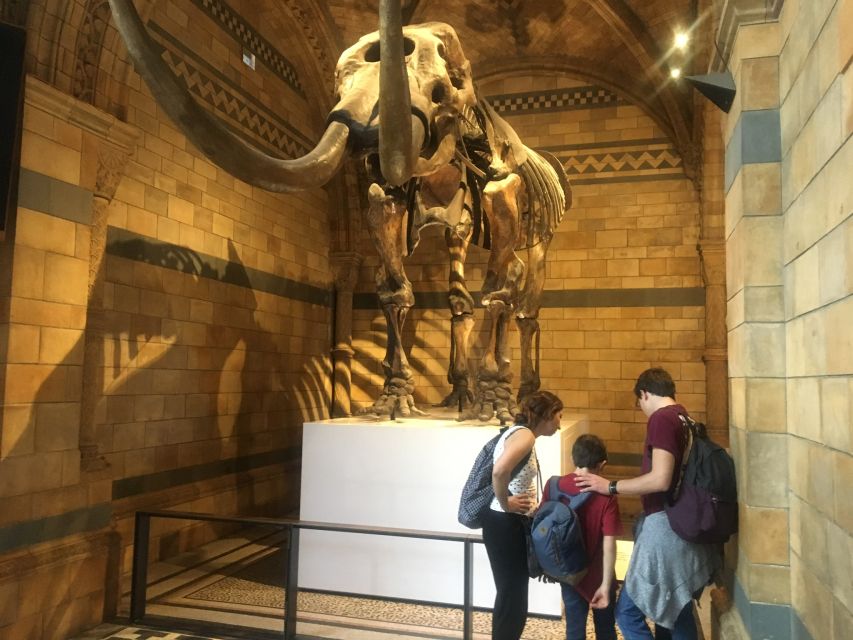London: Natural History Museum Entry Ticket and Guided Tour - Meeting your guide at South Kensington