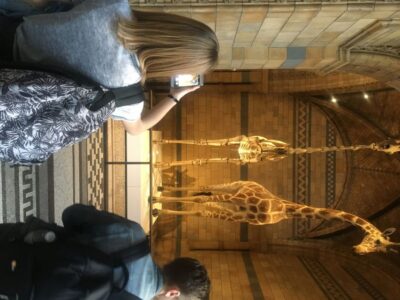 Natural History Museum Entry Ticket and Guided Tour
